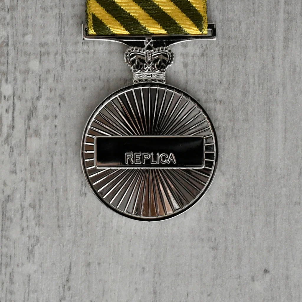 CSM | Conspicuous Service Medal - Image 2